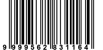 9999562831164