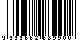 9999562839900