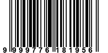 9999776181956