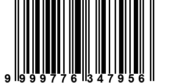 9999776347956