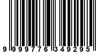 9999776349295