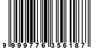 9999776356187