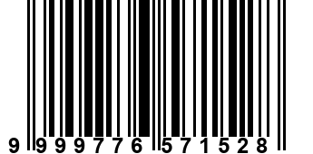 9999776571528