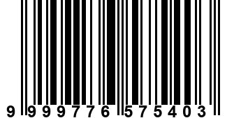 9999776575403
