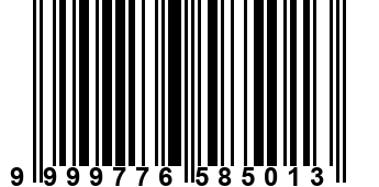 9999776585013