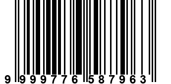 9999776587963