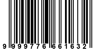 9999776661632