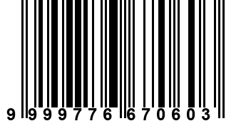 9999776670603