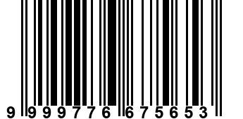 9999776675653