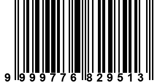 9999776829513