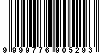 9999776905293