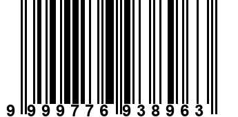 9999776938963