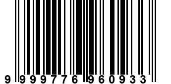 9999776960933