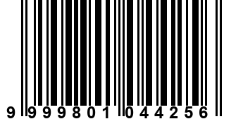 9999801044256