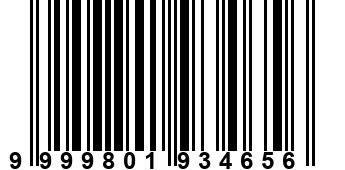9999801934656